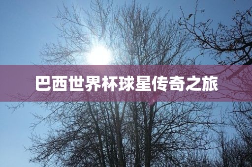 巴西世界杯球星传奇之旅