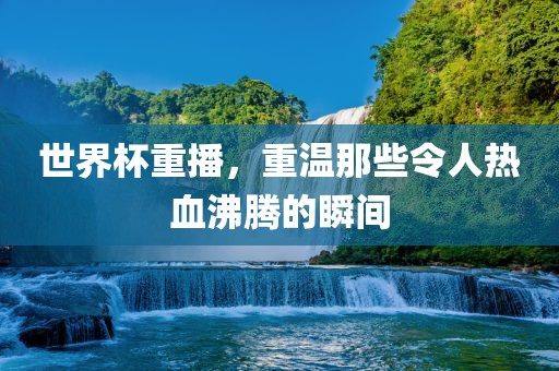 世界杯眉山市正发家政服务有限公司重播，重温那些令人热血沸腾的瞬间