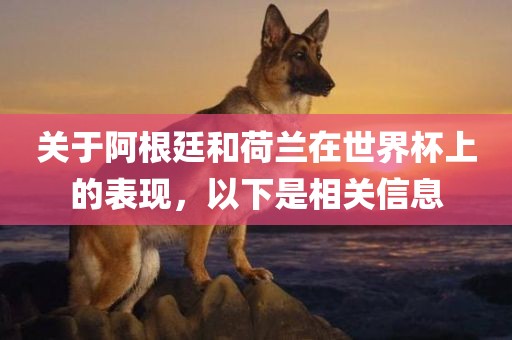 关于阿根廷和荷兰在世界杯上的表现，以下是相关信息