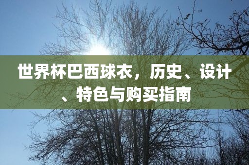 世界杯巴西球衣，历史、设计、特色与购买指南