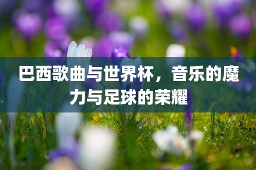 巴西歌曲与世界杯，音乐的魔力与足球的荣耀