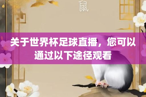 关于世界杯足球直播，您可以通过以下途径观看