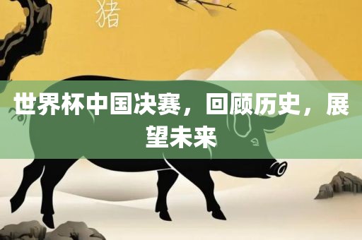 世界杯中国决赛，回顾历史，展望未来