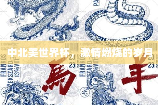 中北美世界杯，激情燃烧的岁月