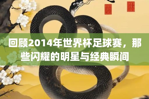 回顾2014年世界杯足球赛，那些闪耀的明星与经典瞬间