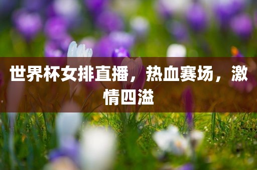 世界杯女排直播，热血赛场，激情四溢