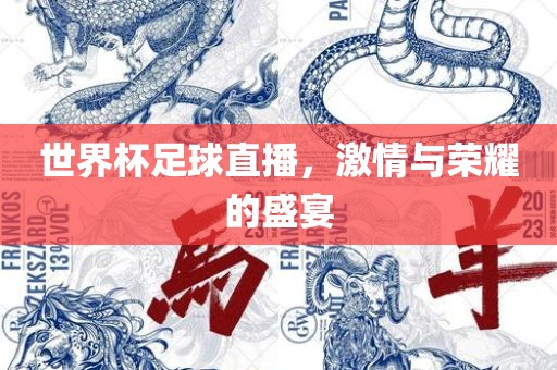 世界杯足球直播，激情与荣耀的盛宴
