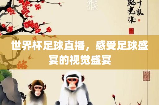 世界杯足球直播，感受足球盛宴的视觉盛宴