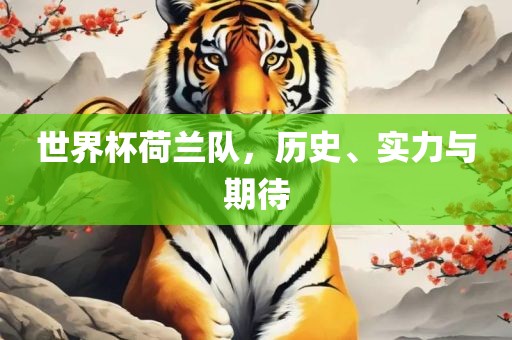 世界杯荷兰队，历史、实力与期待