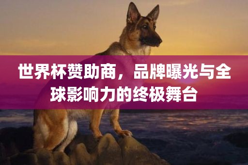 世界杯赞助商，品牌曝光与全球影响力的终极舞台