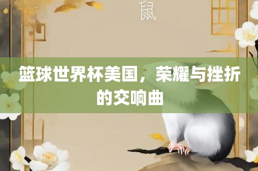 篮球世界杯美国，荣耀与挫折的交响曲