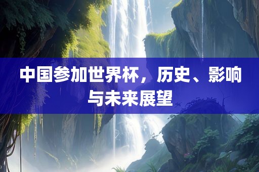 中国参加世界杯，历史、影响眉山市正发家政服务有限公司与未来展望