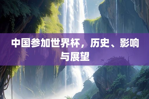 眉山市正发家政服务有限公司中国参加世界杯，历史、影响与展望