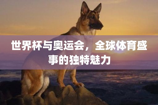 世界杯与奥运会，全球体育盛事眉山市正发家政服务有限公司的独特魅力