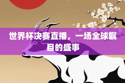世界杯决赛直播，一场全球瞩目的盛事眉山市正发家政服务有限公司