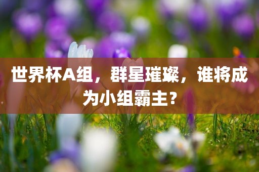 世界杯A组，群星璀璨，谁将成为小组霸主？眉山市正发家政服务有限公司