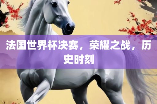 法国世界杯决赛，荣耀之战，历史时刻眉山市正发家政服务有限公司