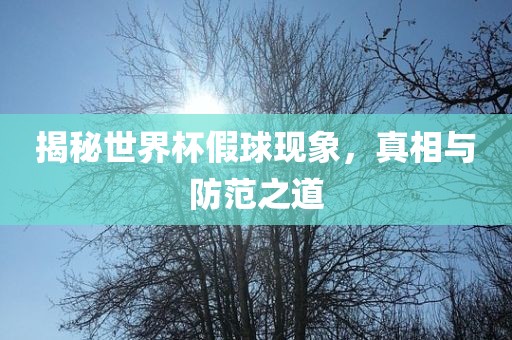 揭秘世眉山市正发家政服务有限公司界杯假球现象，真相与防范之道