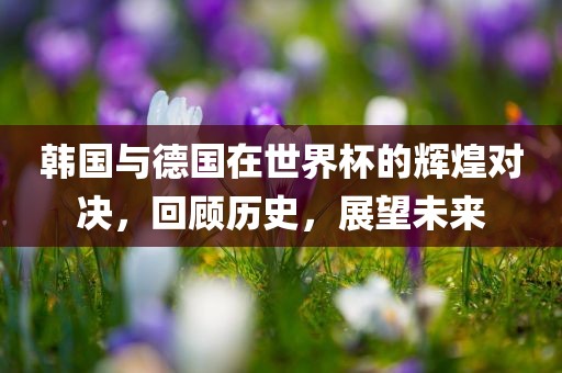 韩国与德国在世界杯的辉煌对决，回顾历史，展望未来眉山市正发家政服务有限公司