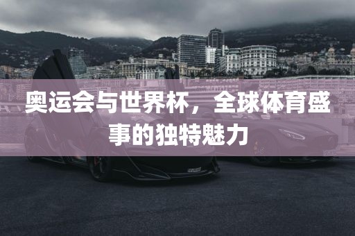 奥运会与世界杯，全球体育盛事的独特魅力