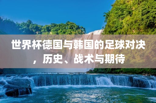 世界杯德国与韩国的足球对决，历史、战术与期待眉山市正发家政服务有限公司