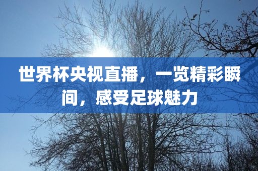 xinyu 第13页