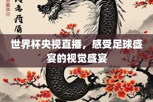 世界杯央视直播，感受足球盛宴的视觉盛宴