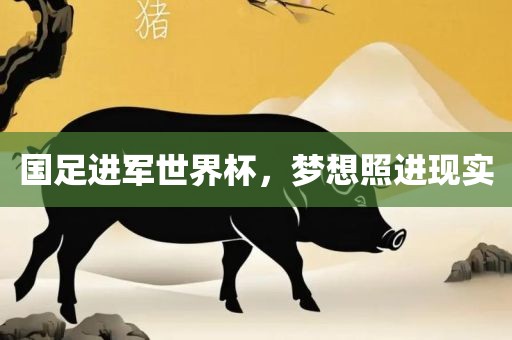 国足进军世界杯，梦想照进现实