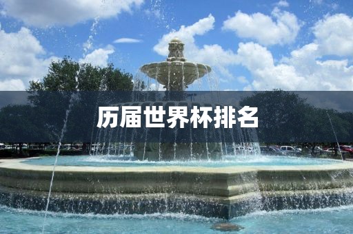 历届世界杯排名眉山市正发家政服务有限公司