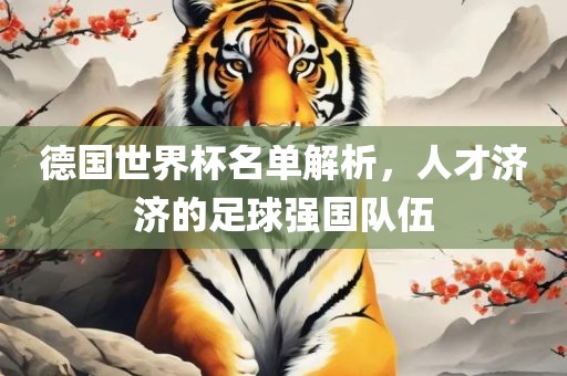 德国世界杯名单解析，人才济济的足球强国队伍