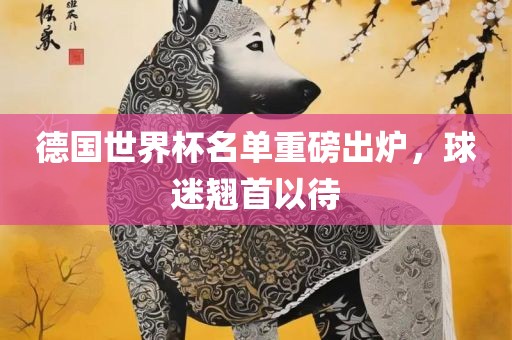 德国世界杯名单重磅出炉，球迷翘首以待眉山市正发家政服务有限公司