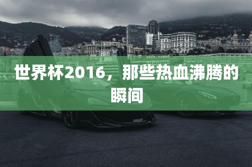 世界杯2016，那些热血沸腾的瞬间眉山市正发家政服务有限公司