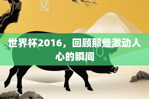 世界杯2016，回顾那些激动人心的瞬间