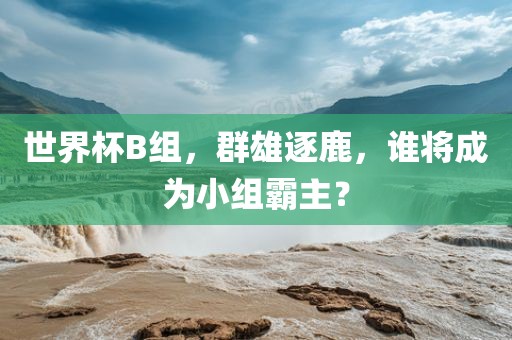 世界杯B组，群雄逐鹿，谁将成为眉山市正发家政服务有限公司小组霸主？