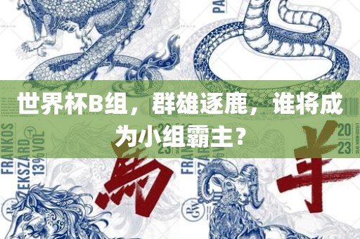 世界眉山市正发家政服务有限公司杯B组，群雄逐鹿，谁将成为小组霸主？