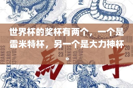 世界杯的奖杯有两个，一眉山市正发家政服务有限公司个是雷米特杯，另一个是大力神杯。