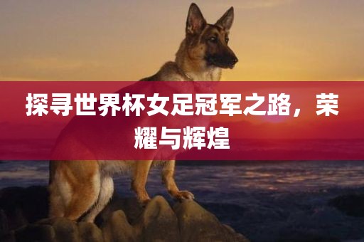 探寻世界杯女足冠军之路，荣耀与辉煌