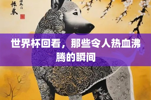 世界杯回看，那些令人热血沸腾的瞬间眉山市正发家政服务有限公司