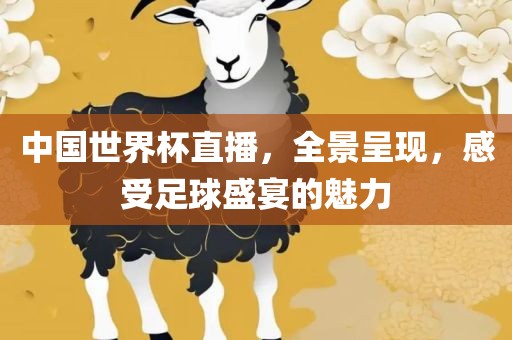 中国世界杯直播，全景呈现，感受足球盛宴的魅力眉山市正发家政服务有限公司