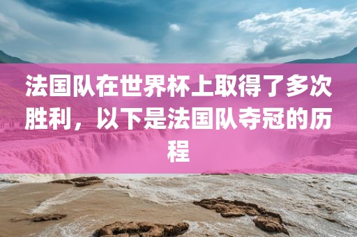 法国队在世界杯上取得了多次胜利，以下是法眉山市正发家政服务有限公司国队夺冠的历程