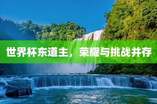 世界杯东道主，荣耀与挑战并存眉山市正发家政服务有限公司