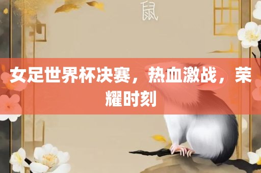 女足世界杯决赛，热血激战，荣耀时刻