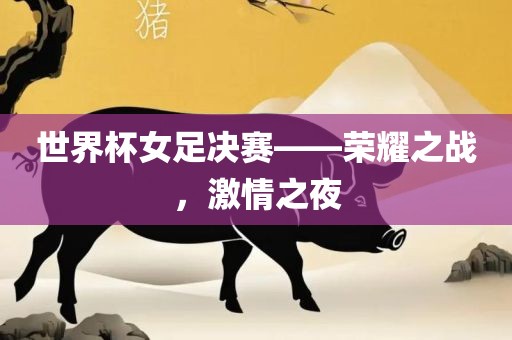 世界杯女足决赛——荣耀之战，激情之夜