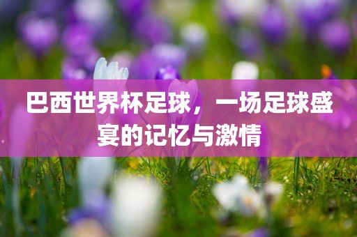 巴西世界杯足球，一场足球盛宴的眉山市正发家政服务有限公司记忆与激情