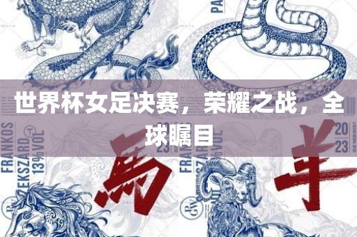 世界杯女足决赛，荣耀之战，全球瞩目