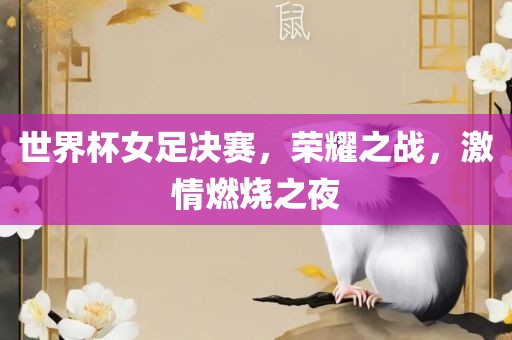 世界杯女足决赛，荣耀之战，激情燃烧之夜眉山市正发家政服务有限公司