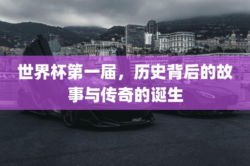 世界杯第一届，历史背后的故事与传奇的诞生眉山市正发家政服务有限公司