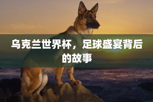 乌克兰世界杯，足球盛宴背后的故事眉山市正发家政服务有限公司