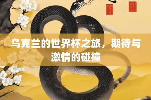 乌克兰的世界杯之旅，期待与激情的碰撞