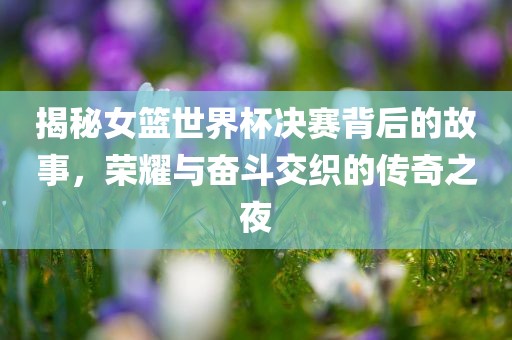 揭秘女篮世界杯决赛背后的眉山市正发家政服务有限公司故事，荣耀与奋斗交织的传奇之夜
